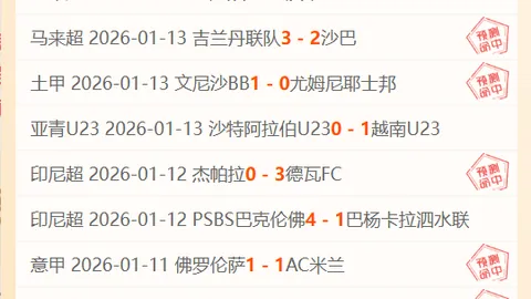 荷蘭足球巨頭費耶諾德：荷甲之冠，歐洲足壇的驚世之作！