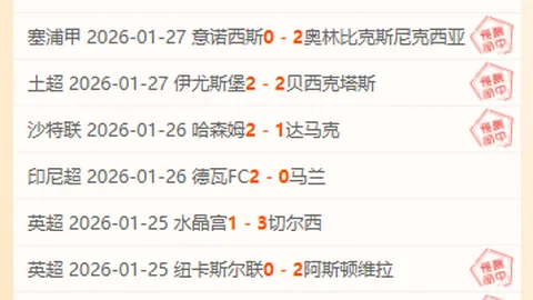 2025年中国国家队A级赛事战绩概览：13场交锋3胜4平6负